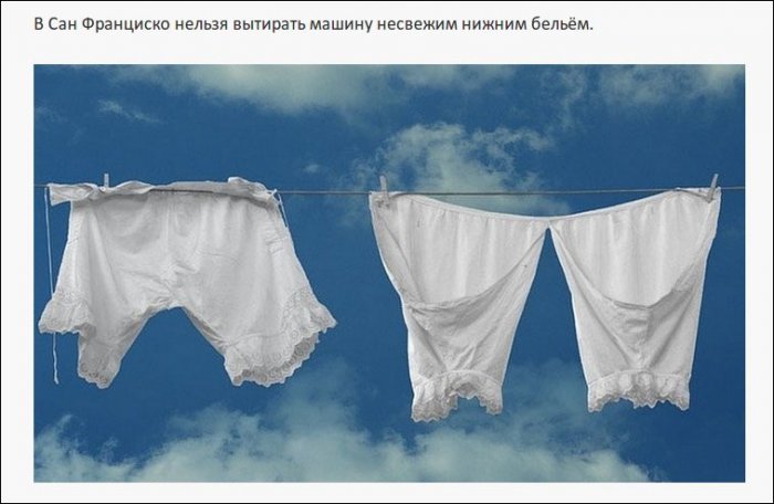 Самые нелепые правила дорожного движения из разных стран (19 фото)