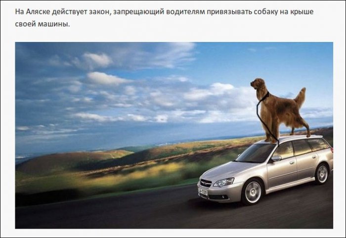 Самые нелепые правила дорожного движения из разных стран (19 фото)