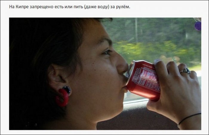 Самые нелепые правила дорожного движения из разных стран (19 фото)