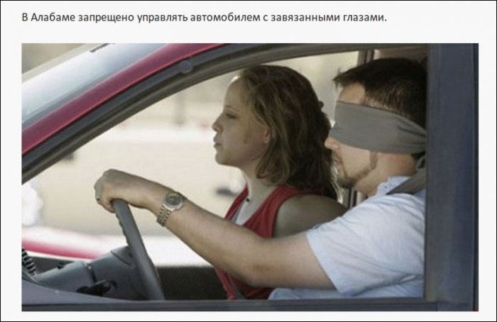 Самые нелепые правила дорожного движения из разных стран (19 фото)