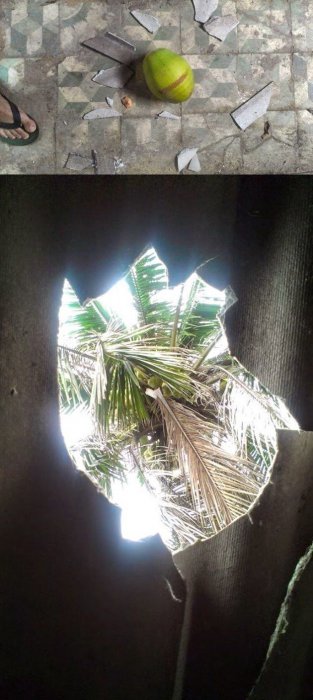 Прикольные картинки (101 фото)