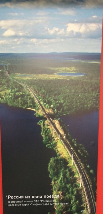 Прикольные картинки (91 фото)