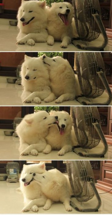 Прикольные картинки (91 фото)