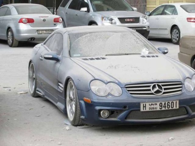 Подснежники Дубая (36 фото)