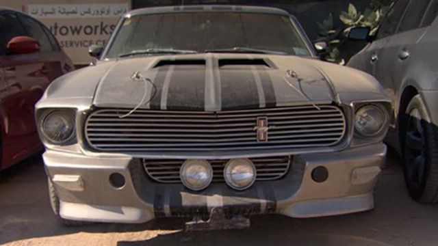 Подснежники Дубая (36 фото)