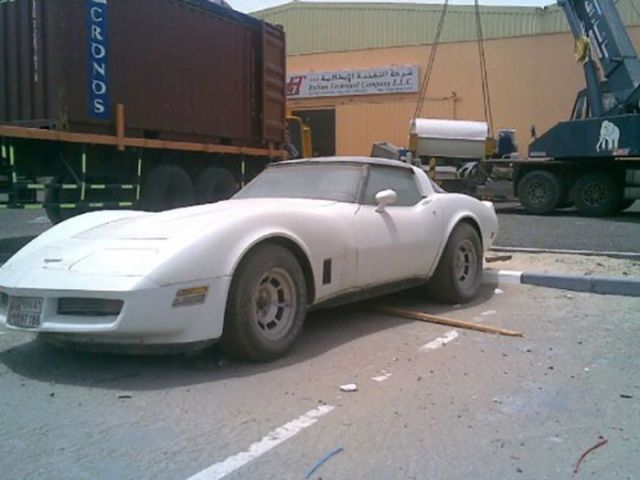 Подснежники Дубая (36 фото)