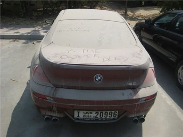 Подснежники Дубая (36 фото)