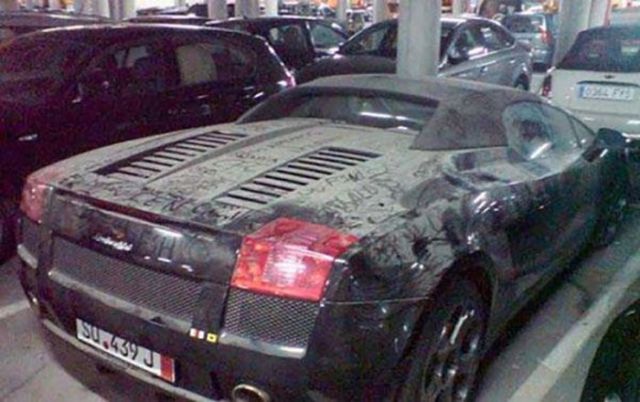 Подснежники Дубая (36 фото)