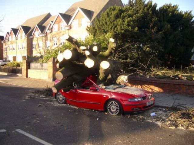 Странные аварии (25 фото)