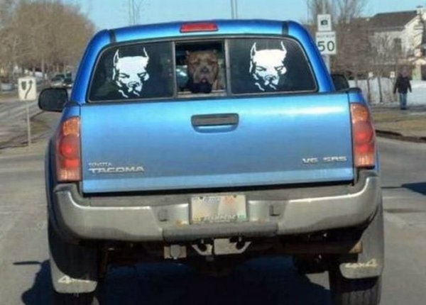 Автоприколы (31 фото)