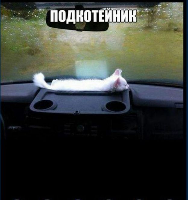 Автоприколы (31 фото)