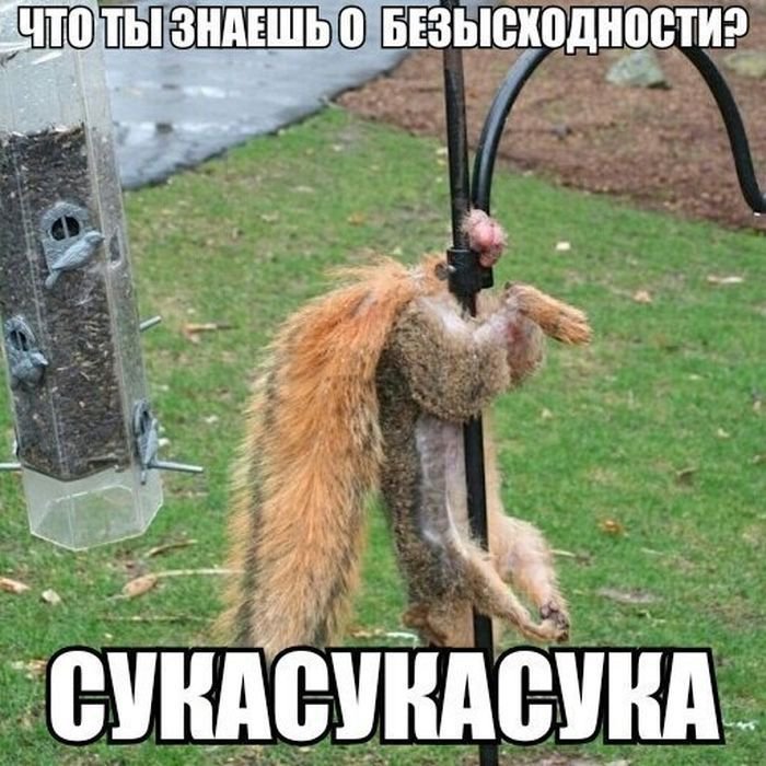 Эро подборка среды 18+