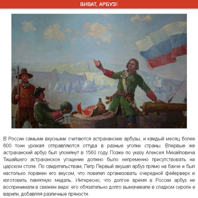 Интересные факты об арбузе (9 фото)