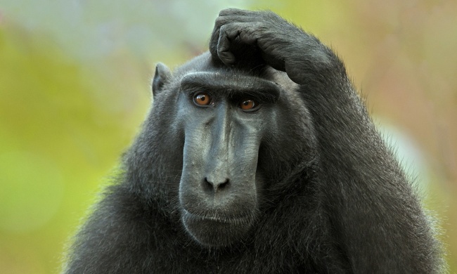 Зарядка для ума