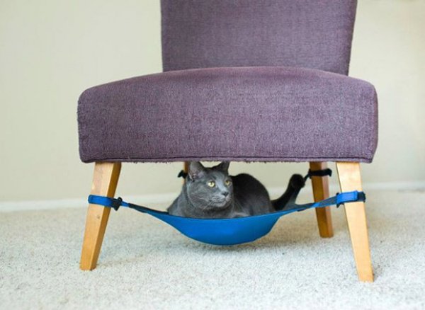 Вещи, которыми хочется пользоваться