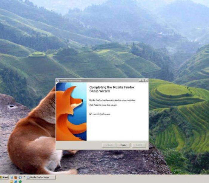 Прикольные картинки (63 фото)