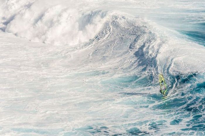 Прикольные картинки (63 фото)