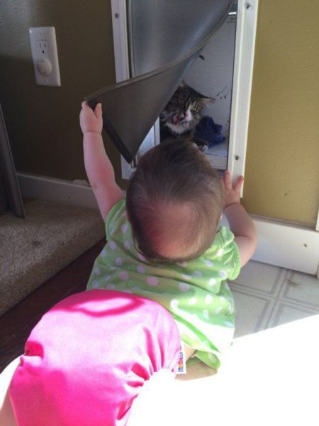 Прикольные картинки (63 фото)