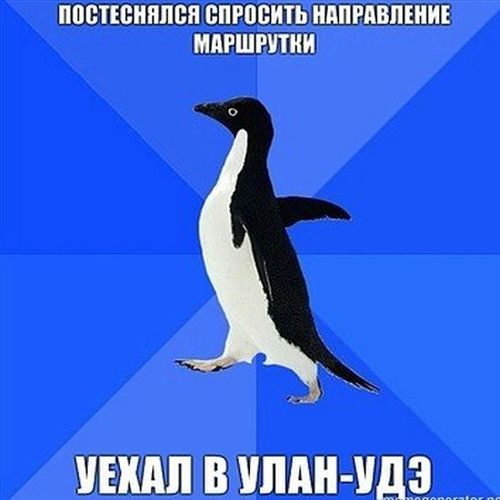 Прикольные картинки (63 фото)