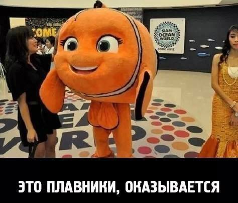 Прикольные картинки (63 фото)