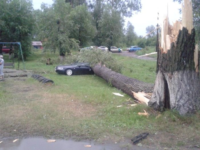 Прикольные картинки (63 фото)