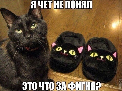 Прикольные картинки (63 фото)