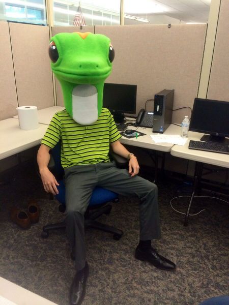 Прикольные картинки (63 фото)