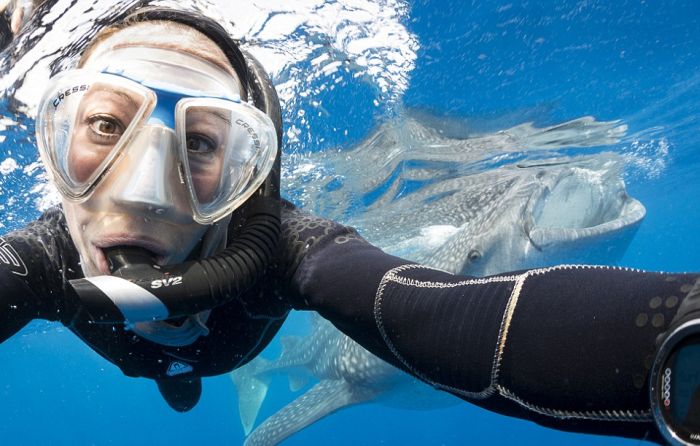 Прикольные картинки (63 фото)