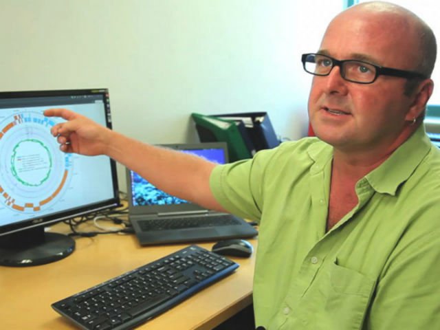 Обнаруженный недавно вирус проживает в кишечниках половины населения Земли