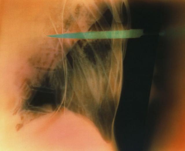 Вот ваш снимок, но вы только не волнуйтесь! (22 фото)