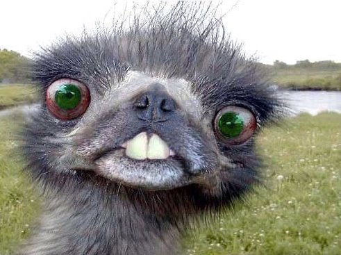 Картинки с политическим оттенком... 18+