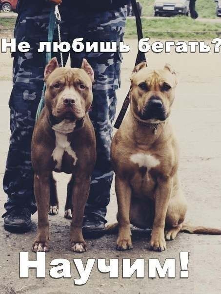 Картинки с политическим оттенком... 18+