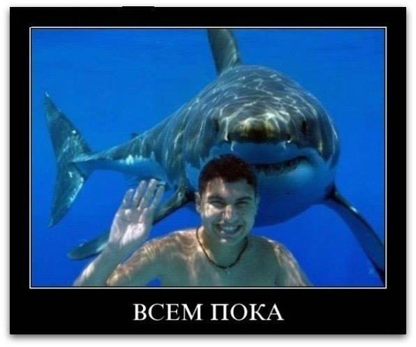 Картинки с политическим оттенком... 18+