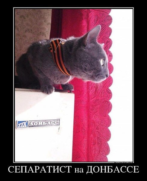 Картинки с политическим оттенком... 18+