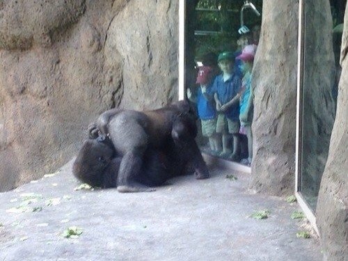 Картинки с политическим оттенком... 18+