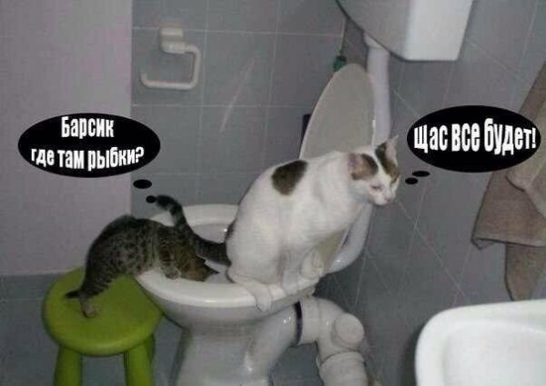 Картинки с политическим оттенком... 18+