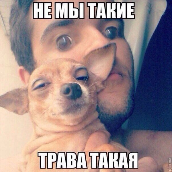 Картинки с политическим оттенком... 18+