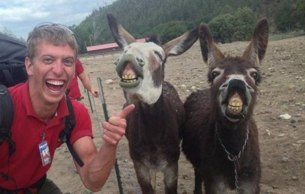 Картинки с политическим оттенком... 18+