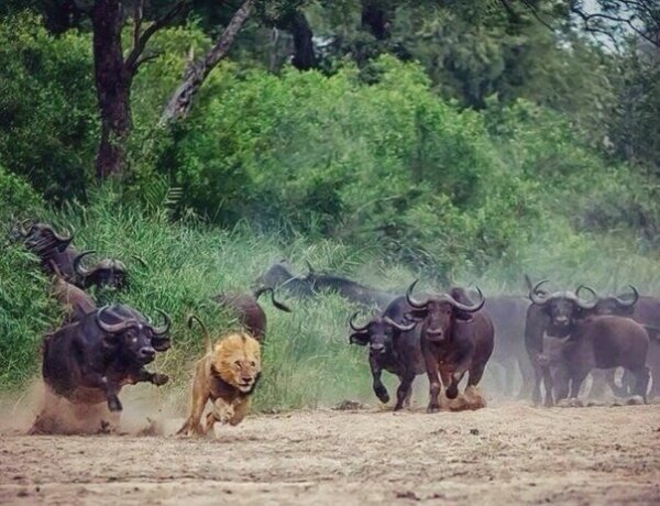 Картинки с политическим оттенком... 18+