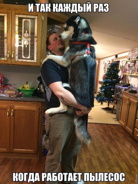 Картинки с политическим оттенком... 18+