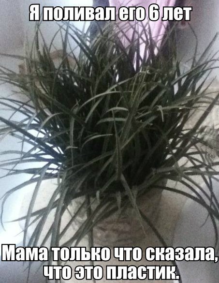 Картинки с политическим оттенком... 18+