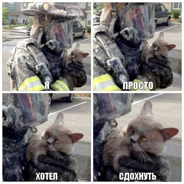 Картинки с политическим оттенком... 18+