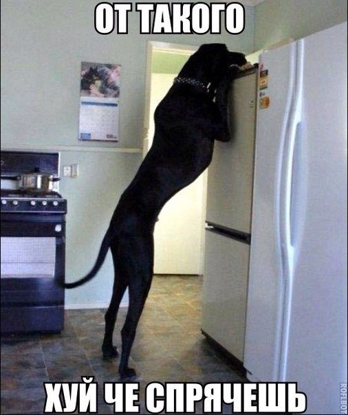 Картинки с политическим оттенком... 18+