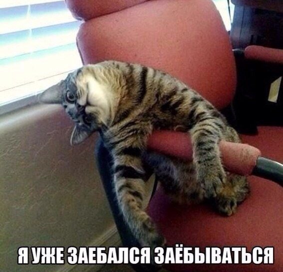 Картинки с политическим оттенком... 18+