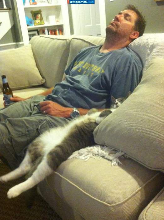 Картинки с политическим оттенком... 18+