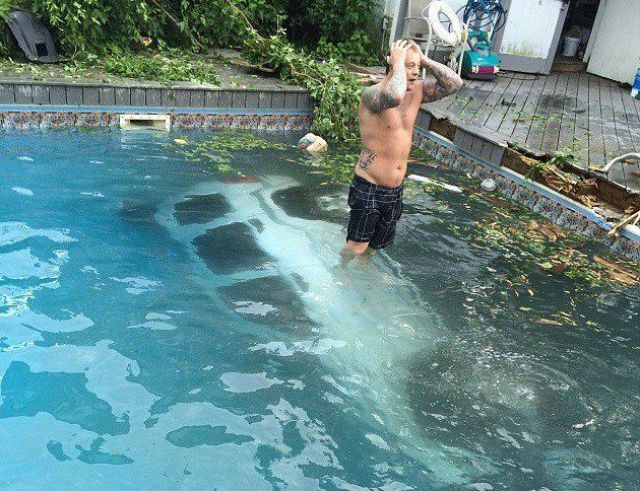 Автоприколы (55 фото)