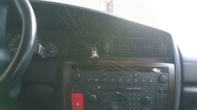 Автоприколы (55 фото)