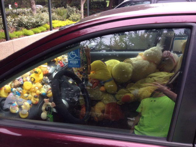 Автоприколы (55 фото)