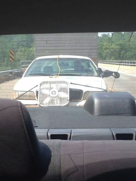 Автоприколы (55 фото)