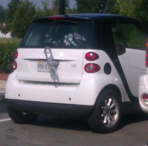 Автоприколы (55 фото)